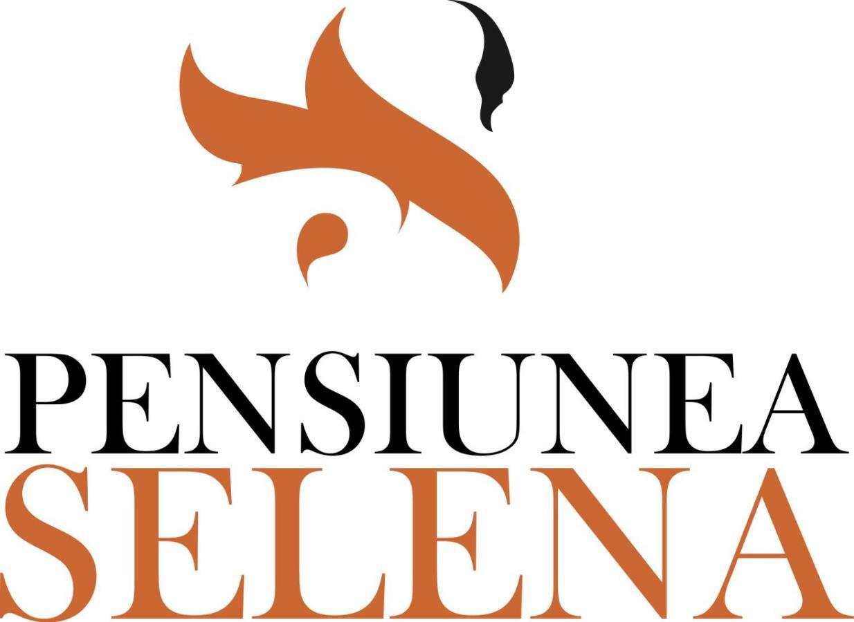 Pensiunea Selena Viseu de Sus Exterior photo